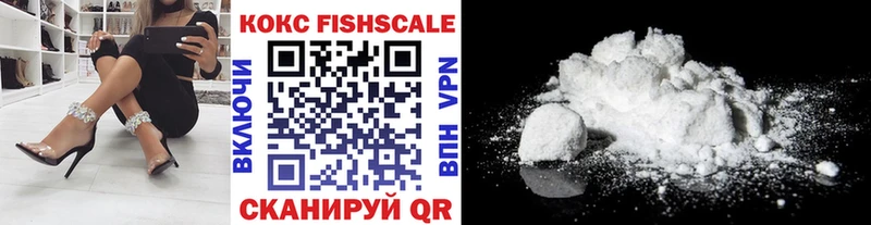 Купить закладки  Кашин  Кокаин Fish Scale 