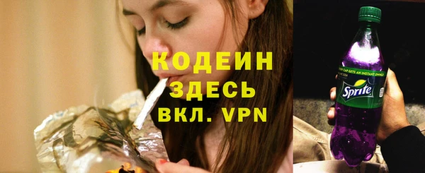 ГАЛЛЮЦИНОГЕННЫЕ ГРИБЫ Ельня