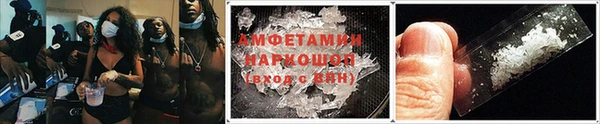 ГАЛЛЮЦИНОГЕННЫЕ ГРИБЫ Ельня