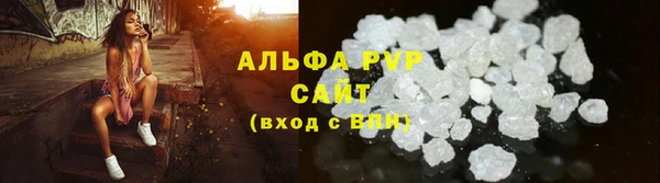 ГАЛЛЮЦИНОГЕННЫЕ ГРИБЫ Ельня