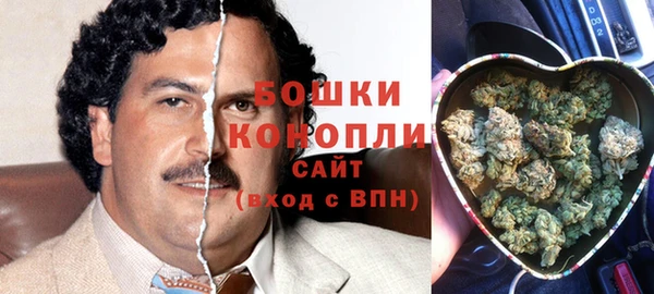 ГАЛЛЮЦИНОГЕННЫЕ ГРИБЫ Ельня