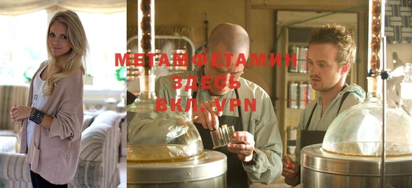 ГАЛЛЮЦИНОГЕННЫЕ ГРИБЫ Ельня