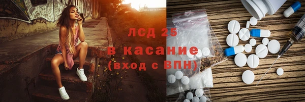 ГАЛЛЮЦИНОГЕННЫЕ ГРИБЫ Ельня