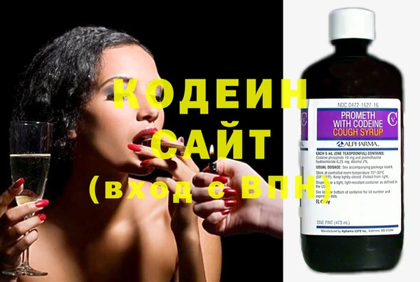 ГАЛЛЮЦИНОГЕННЫЕ ГРИБЫ Ельня