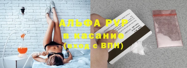 ГАЛЛЮЦИНОГЕННЫЕ ГРИБЫ Ельня