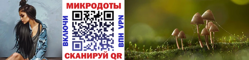 Купить  Кашин  Галлюциногенные грибы Magic Shrooms 